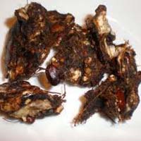 Common Seedless Imli